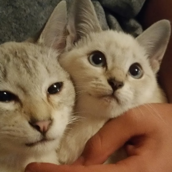 Meet your Posher, Staci - Picture 1 of 1